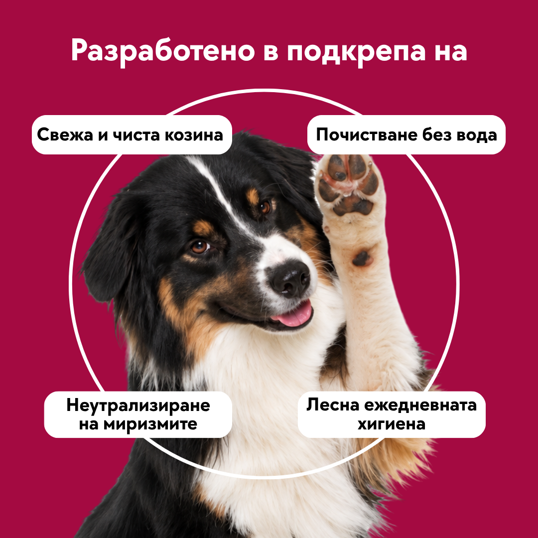 Пробиотична пяна за сухо почистване - 210мл.