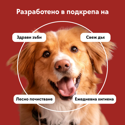 Мокри кърпички за зъби - 50 бр.